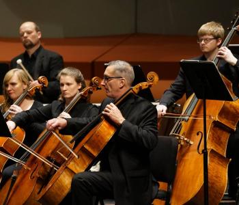 The string section of the symphony playing their instraments.